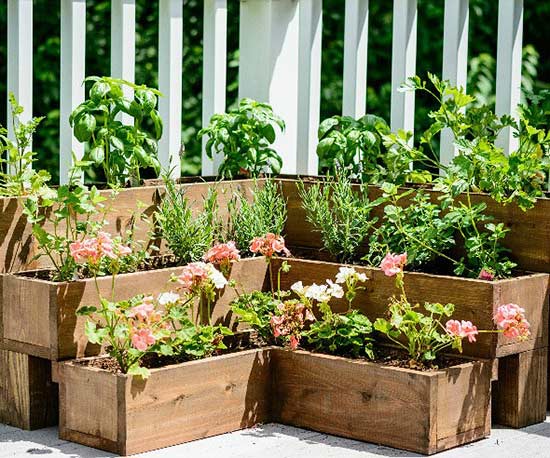 DIY Herb Gardens Perfect for Small Spaces