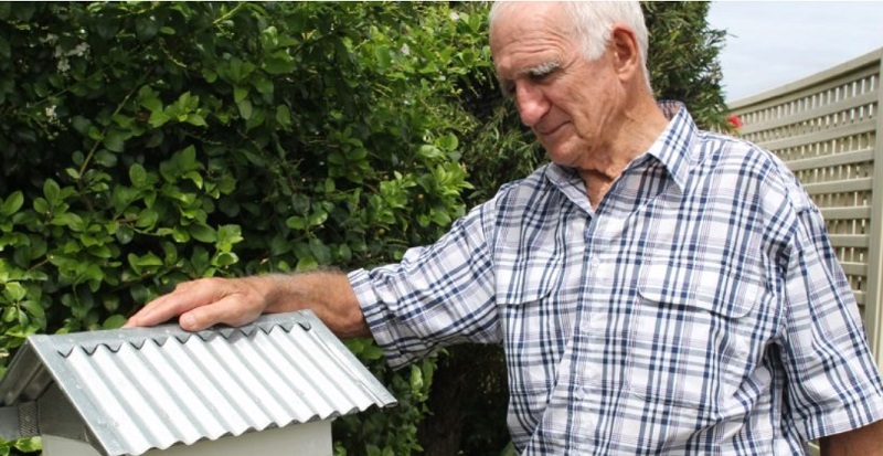 Bolton Clarke Westhaven Residents Get a Buzz Out Of Native Bees