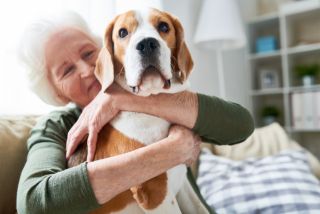 Pets and Companionship in Retirement Villages